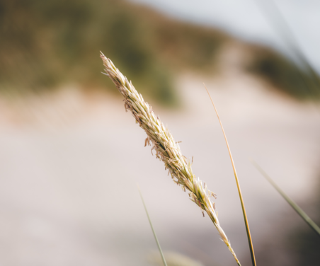 NewSilentLoungePicture